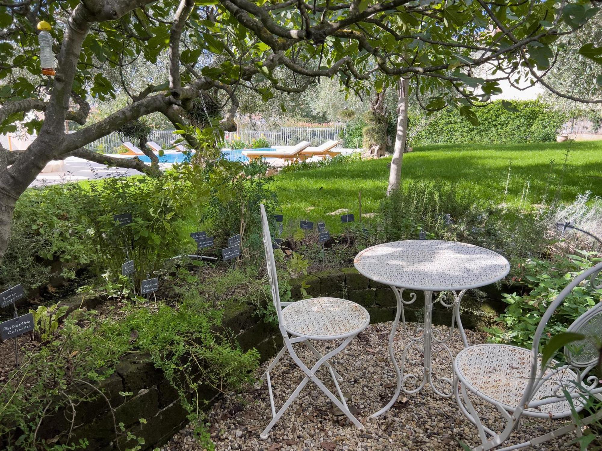 Villa La Rodina دْيانو مارينا المظهر الخارجي الصورة